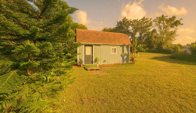 The Blue Loft-Cozy Style Guest House · Close to UCF, Downtown & Theme Parks