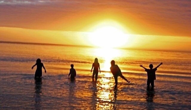 The Blue Rose Cottage - Amazing Views - Direct Beach Access - Pets Allowed