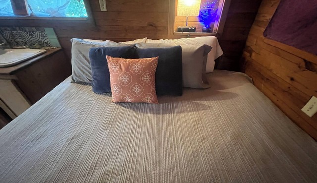 The blue star cabin. buffalo national park.