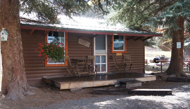 The Bluebonnet Cabin with Mountain Views