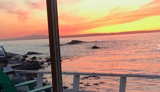 The Bluefin Cottage - Nova Scotia