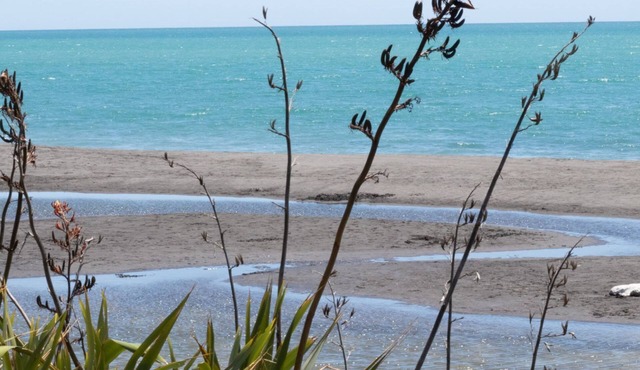 THE BOAT HOUSE ON DIXON