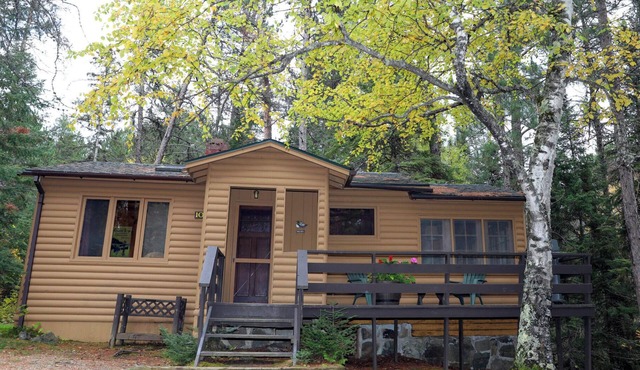 The Bobcat Cabin at Timber Bay