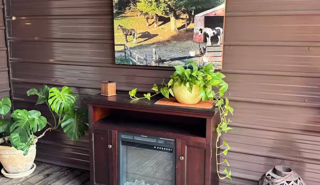 The Bohemian Nest