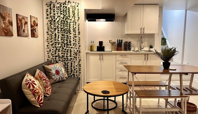 The Boho Oasis: Luxurious Studio Apartment, Quiet Court, Close to All Amenities!