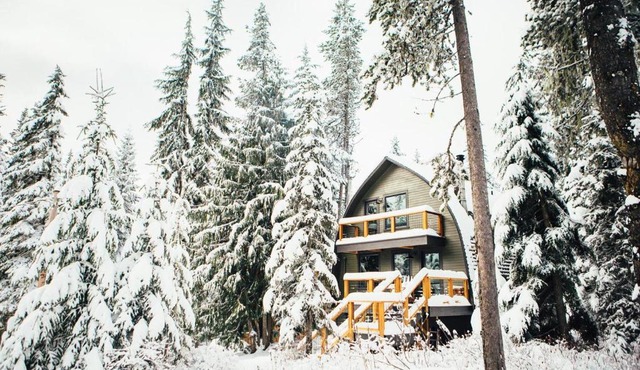 The Bow Roof Cabin - Meredith Lodging