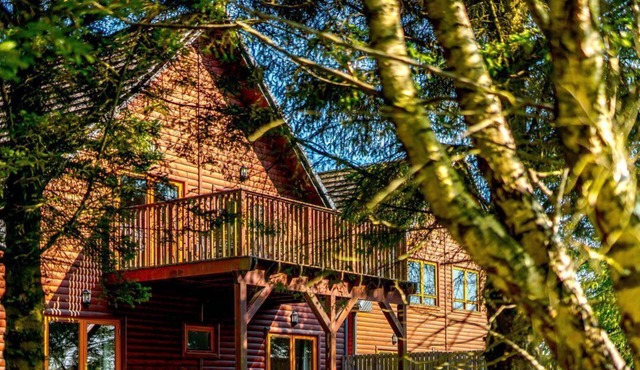 The Braveheart (Pet), Dundee