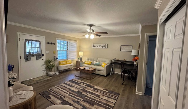 The Brayden House of Rogersville- 2 Bed/1 Ba- 2025 Renovated/New Furnishings
