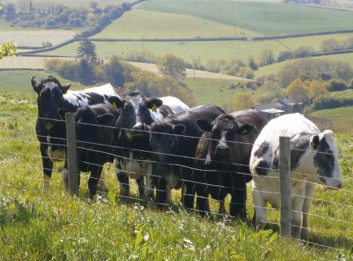 The Brick Barn, Drewsteignton