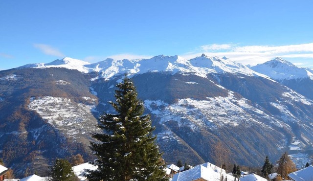The building Le Belvedere is the first one entering Les Collons 1800. 900 meters from the ski-lift T
