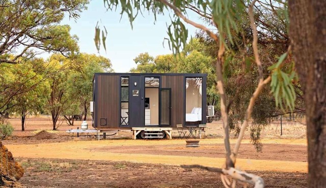 The Buloke by Tiny Away