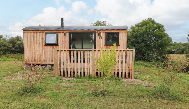 THE BUMBLEBEE, pet friendly, with open fire in Lamphey