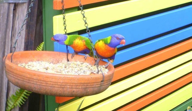 the bungalow, huskisson