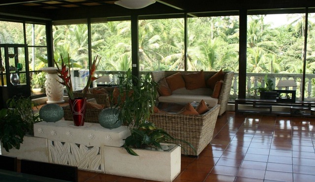 The Bungalow in the Jungle