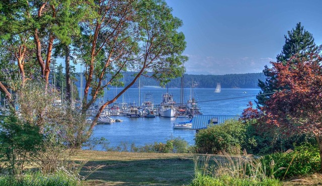 The Bungalow on the Shore in West Sound
