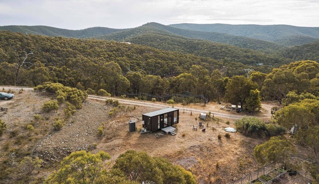 The Bunjil by Tiny Away