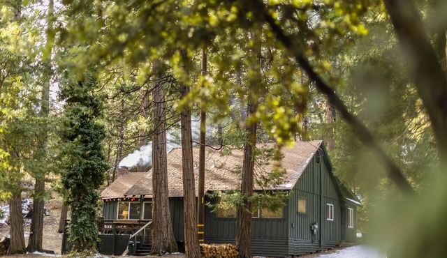 The Bunkhouse 1960's Camp Vibe + Timeless Wet Bar