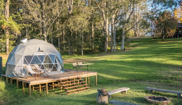 The Burrow Glamping Dome