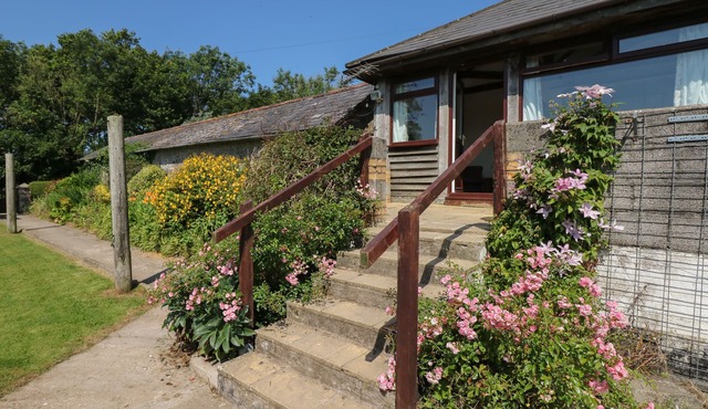 THE BUSHEL, pet friendly, with a garden in Bideford