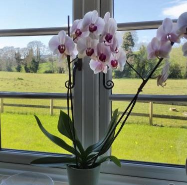 The Byre at Mill Farm Farlow