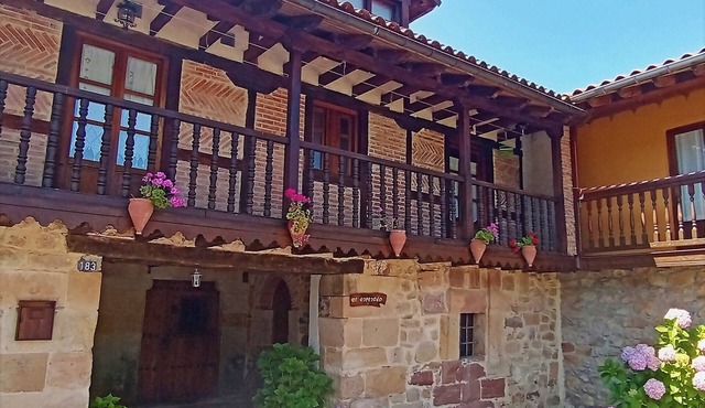 The Cabárceno Thicket