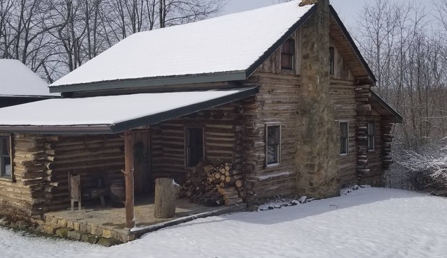 "The Cabin" A handcrafted Log Cabin with 1800's décor, trails and privacy!