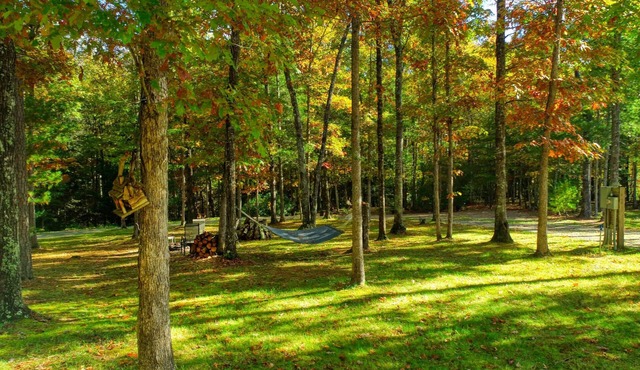 The Cabin at Crockett Creek