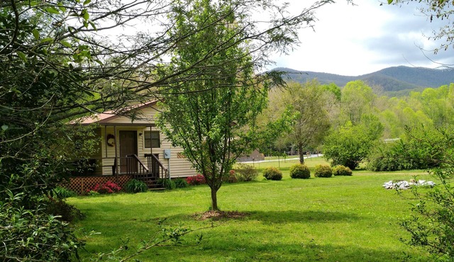 The Cabin at Maggie's Farm on rushing Tucker Creek, trout pond, Blue Ridge Pkwy