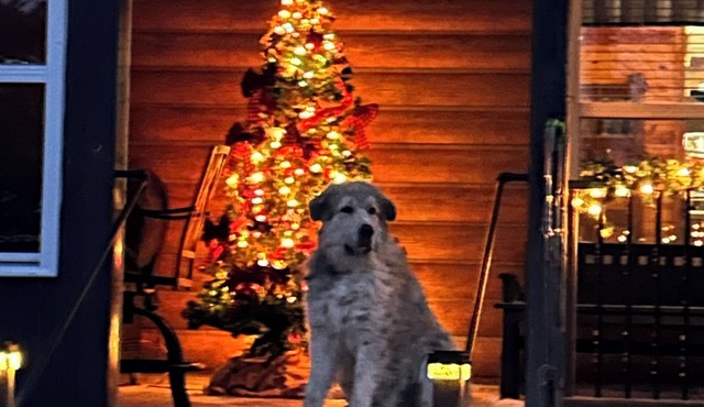“The Cabin”@ Serenity Ranch. Centrally located to all the wonders of Shannon co.