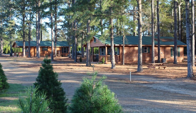 The Cabins At Fish River Christmas Trees - Cabin C