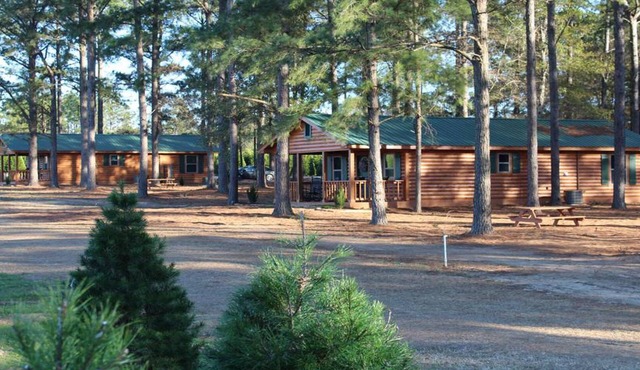 The Cabins At Fish River Christmas Trees - Cabin D