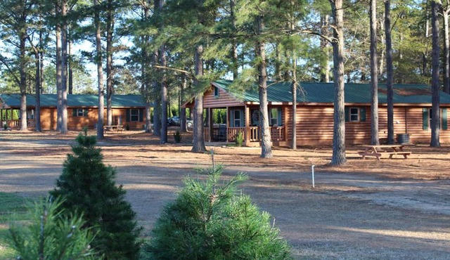 The Cabins At Fish River Christmas Tree Farm
