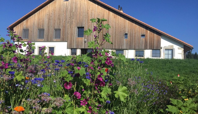 The cachet of an old farm in the heart of nature