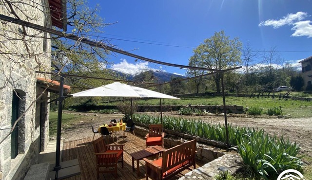 The Canigou apple orchard