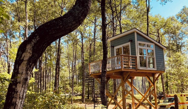 The Canopy Cabin a Nature Lovers Eclectic Treehouse