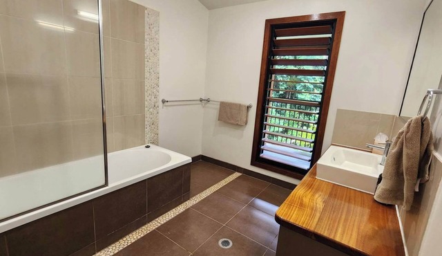 ‘The Canopy’ The magic of the rainforest