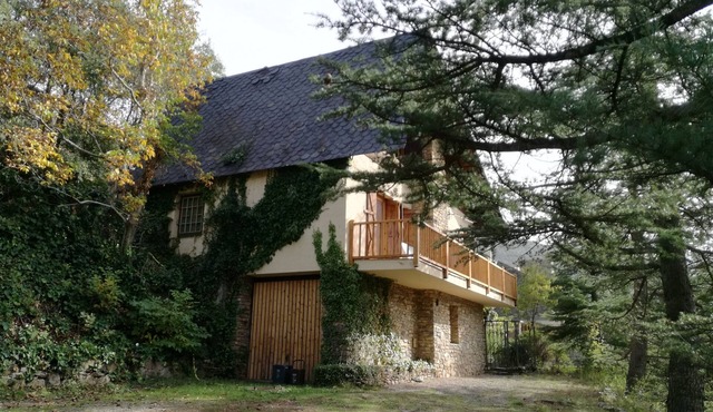 THE CASITA OF THE FOREST OF SORT