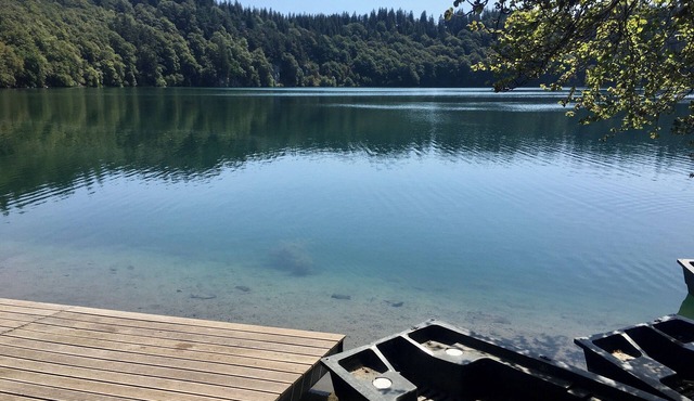 The castle terraces - Murol - Studio 4p