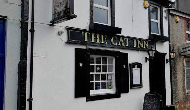 The Cat Inn - Mountain View Apartment