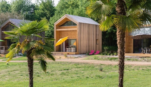 THE CAT'S NESTS - THE SPOTTED WOODPECKER