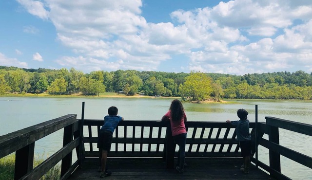 The Cedar Cove Cottage