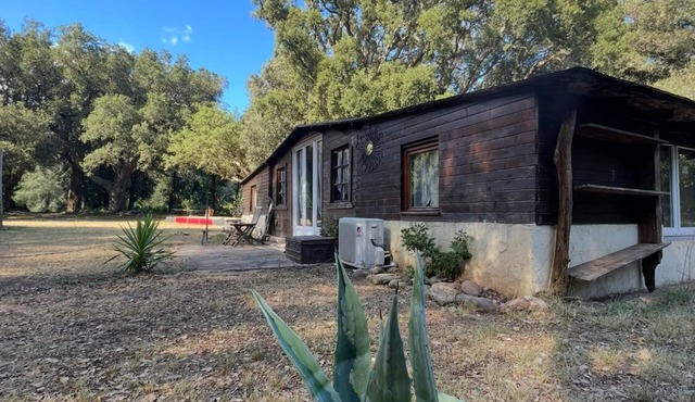 The chalet - Cap Corse - Domaine 1001 nuits