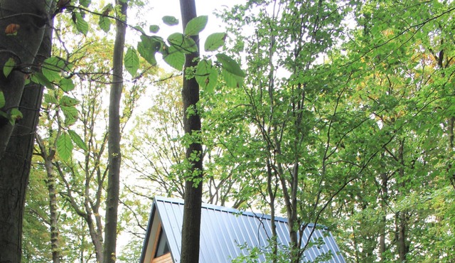 The chalet of wood Ruminghem