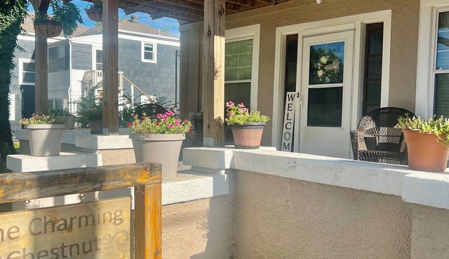 The Charming Chestnut