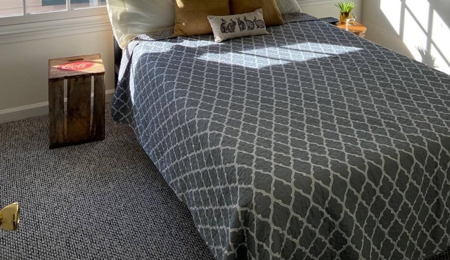 The Checkered Rabbit