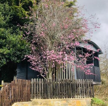 The Cherry Tree Gypsy Wagon