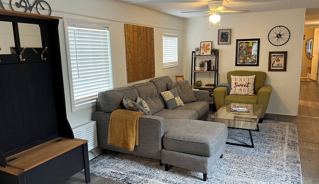 The Chestnut-mid century modern home on the NRG NP