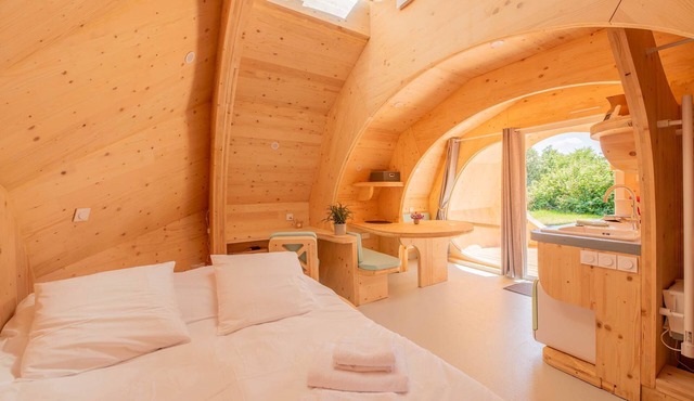 The chestnut tree's nest