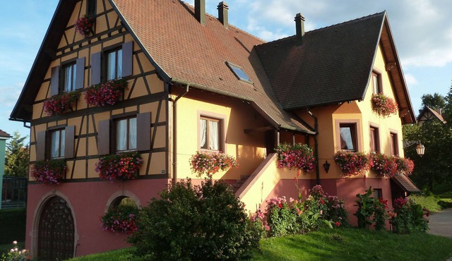 The Chestnut tree. Traditional Alsace house. View of the vineyard and St Odile