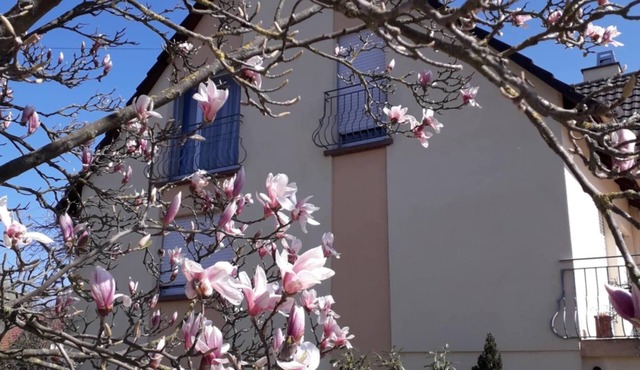 The Closerie du Ried